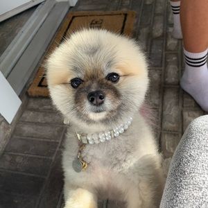 Meet your Posher, Brett